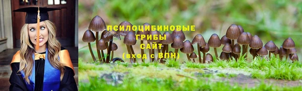 гашик Балахна