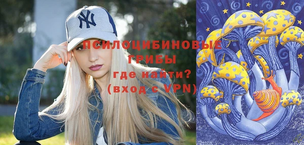 гашик Балахна
