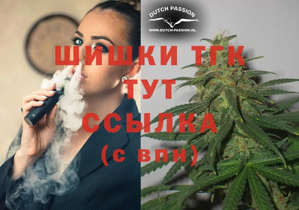 гашик Балахна