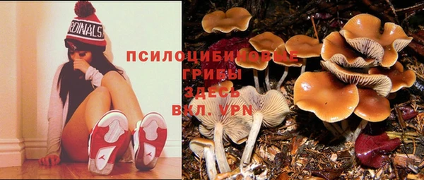 гашик Балахна