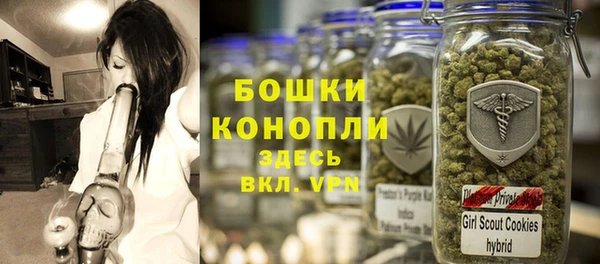 гашик Балахна