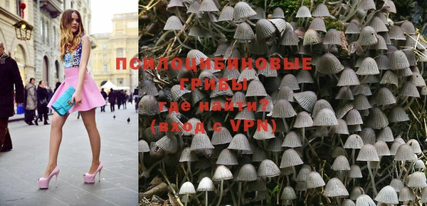 гашик Балахна