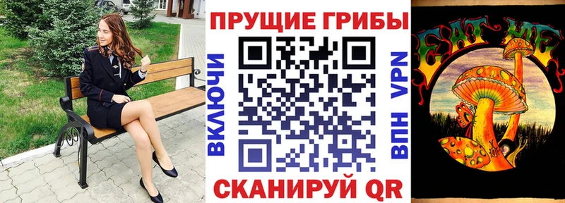 сколько стоит  Старая Русса  МЕГА tor  Псилоцибиновые грибы Psilocybine cubensis 