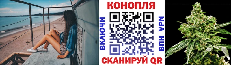 Марихуана Amnesia  hydra   Старая Русса 